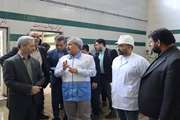 حرکت به‌سوی تکمیل زنجیره ارزش گوشت قرمز و شترمرغ در خراسان شمالی 